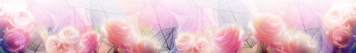 skinali 0800